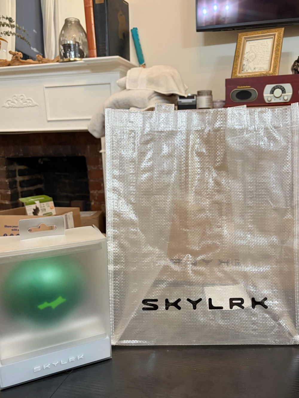 NEW SKYLRK DOMO Magnetic Bluetooth Speaker Justin Bieber
NYC Pop-Up